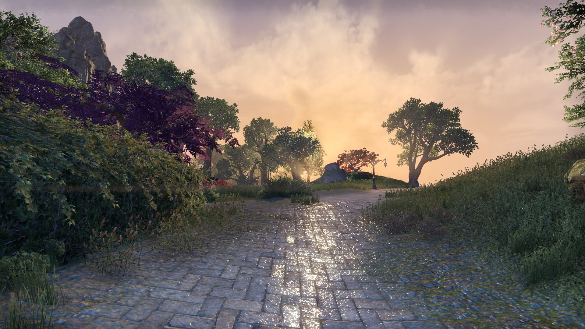 The Elder Scrolls Online_ Tamriel Unlimited (5).jpg