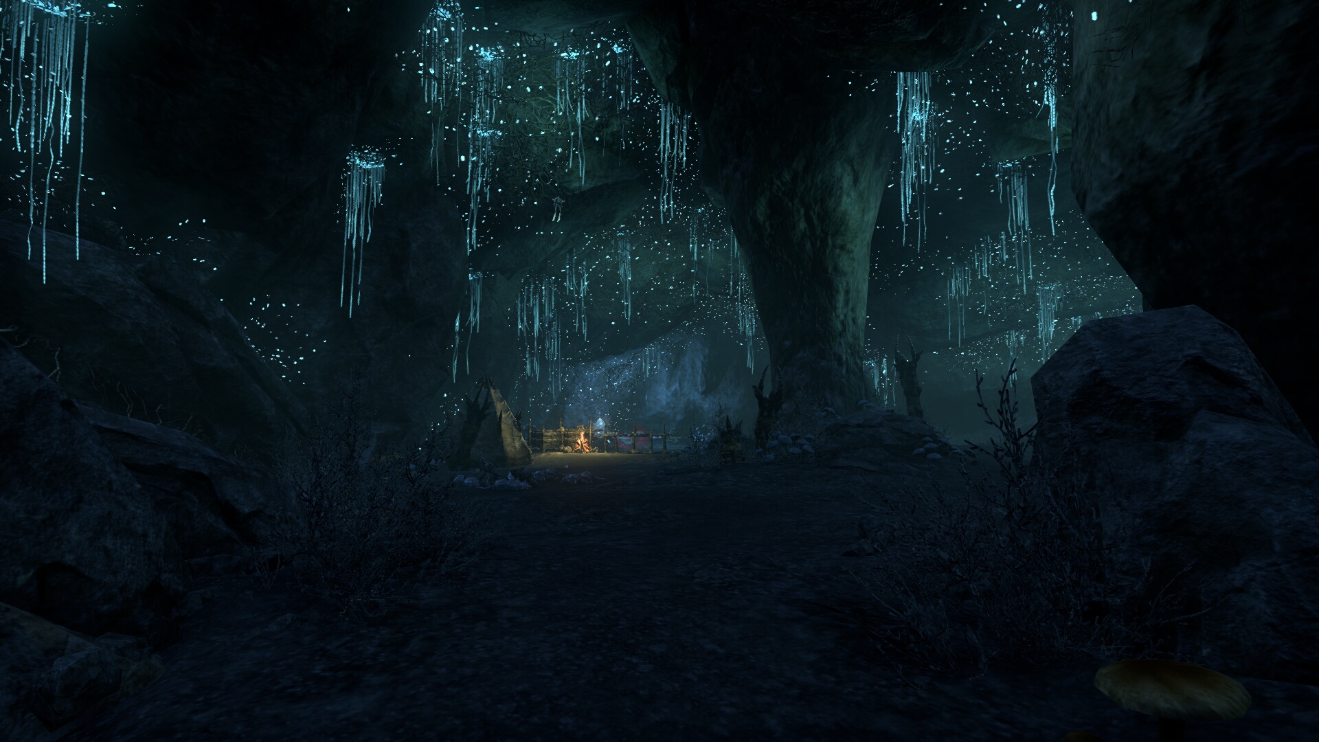 The Elder Scrolls Online_ Tamriel Unlimited (6).jpg