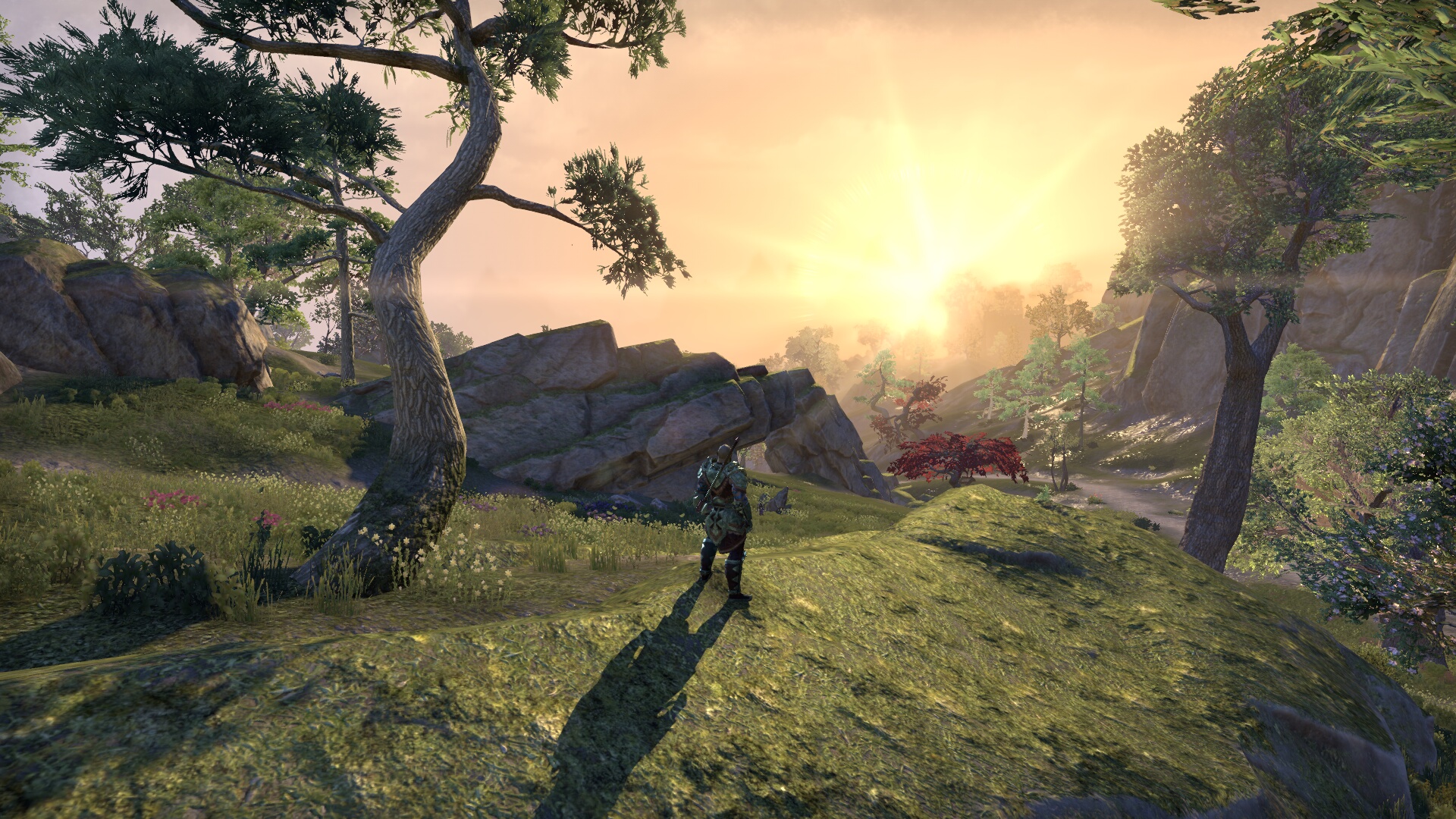 The Elder Scrolls Online_ Tamriel Unlimited (6).jpg