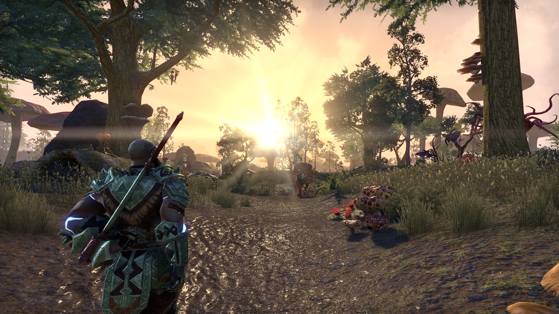 The Elder Scrolls Online_ Tamriel Unlimited (7).jpg