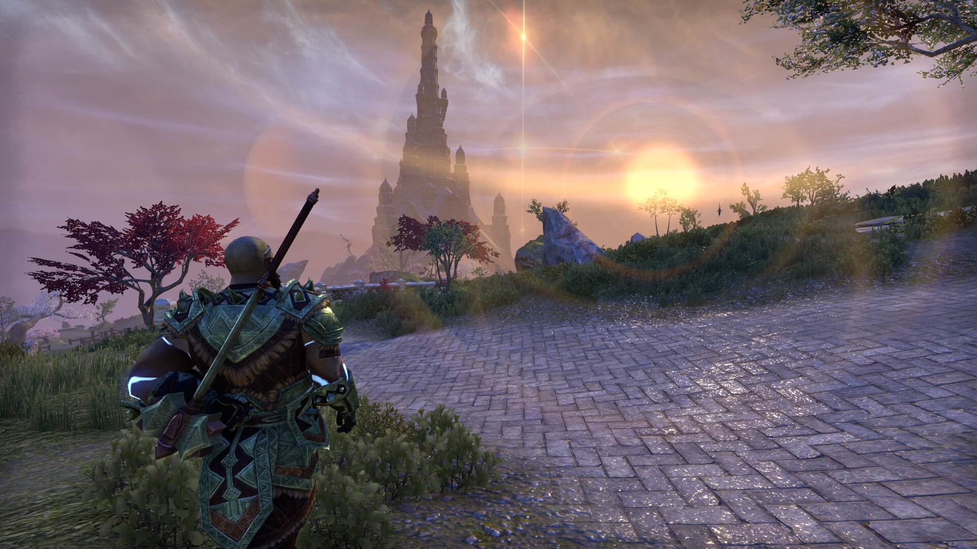The Elder Scrolls Online_ Tamriel Unlimited (8).jpg