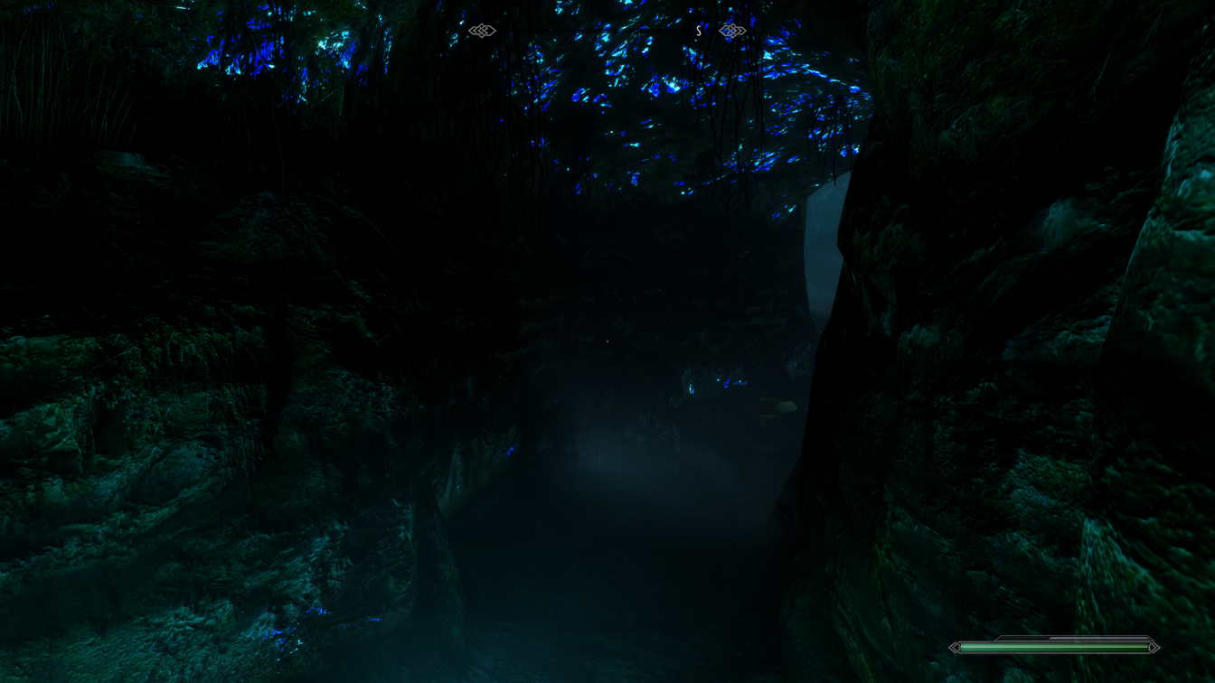 The Elder Scrolls V  Skyrim Special Edition Screenshot 2018.08.20 - 10.19.11.45.jpg