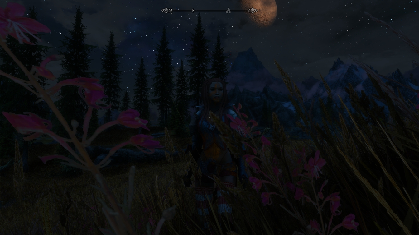 The Elder Scrolls V  Skyrim Special Edition Screenshot 2018.11.07 - 20.53.25.67_ergebnis.jpg