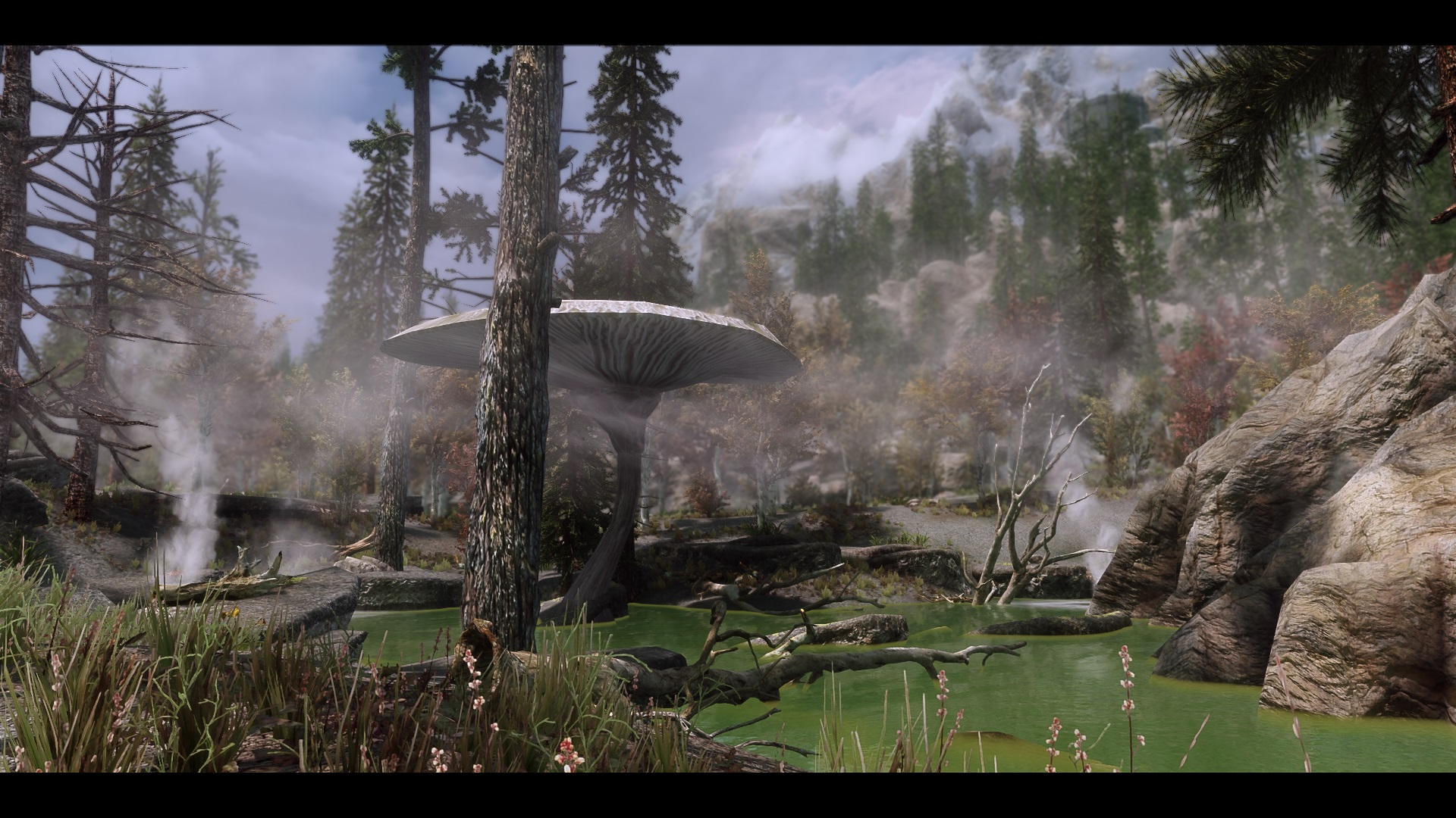 The Elder Scrolls V  Skyrim Special Edition Screenshot 2019.03.06 - 18.03.15.12.jpg