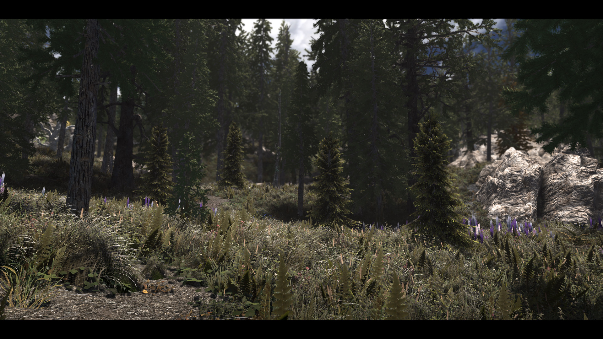 The Elder Scrolls V  Skyrim Special Edition Screenshot 2019.04.30 - 21.44.08.58.jpg