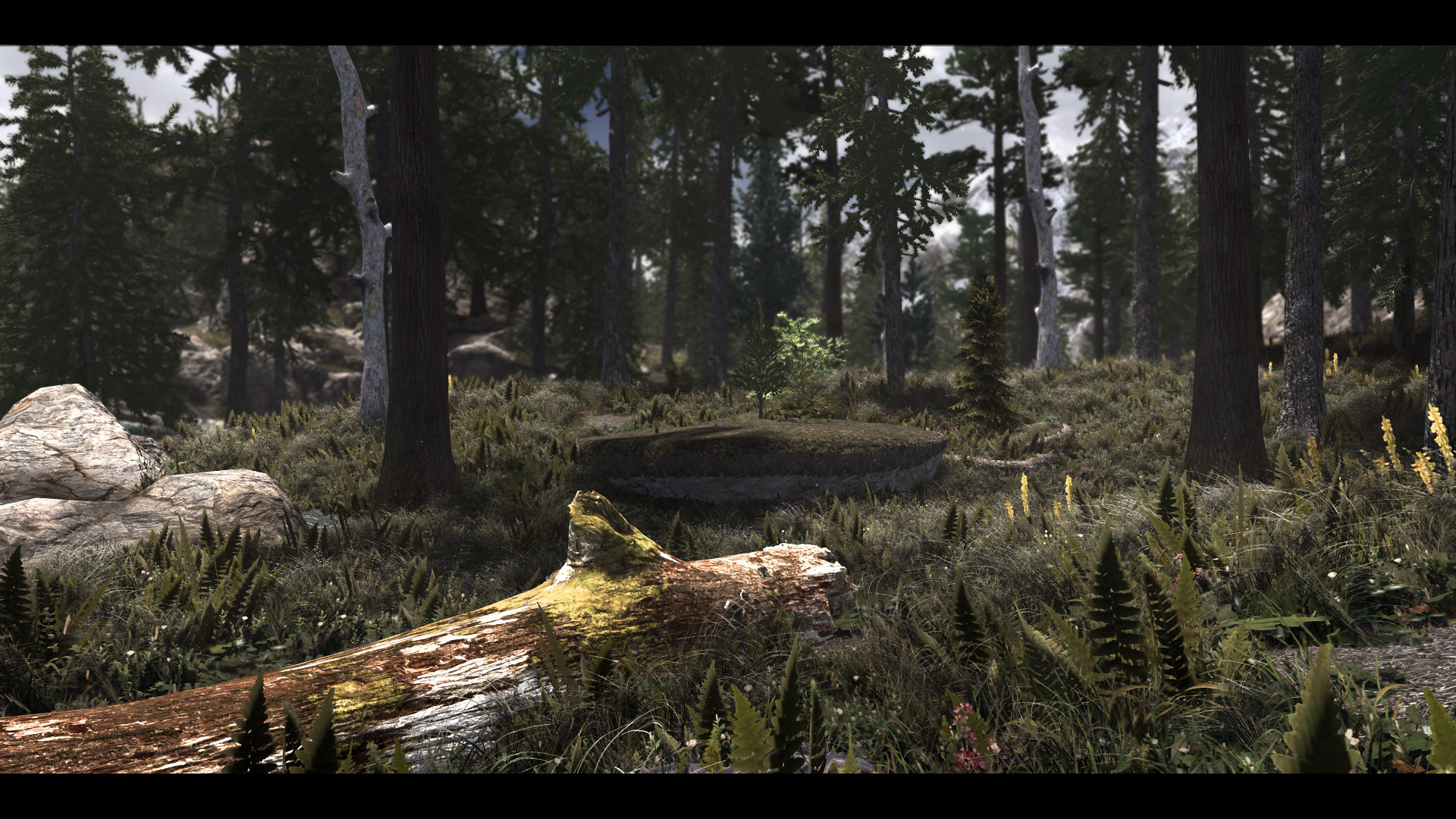 The Elder Scrolls V  Skyrim Special Edition Screenshot 2019.04.30 - 21.47.21.89.jpg