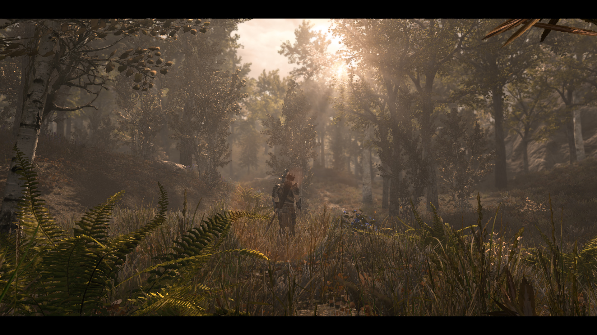 The Elder Scrolls V  Skyrim Special Edition Screenshot 2019.05.04 - 15.37.25.01.jpg