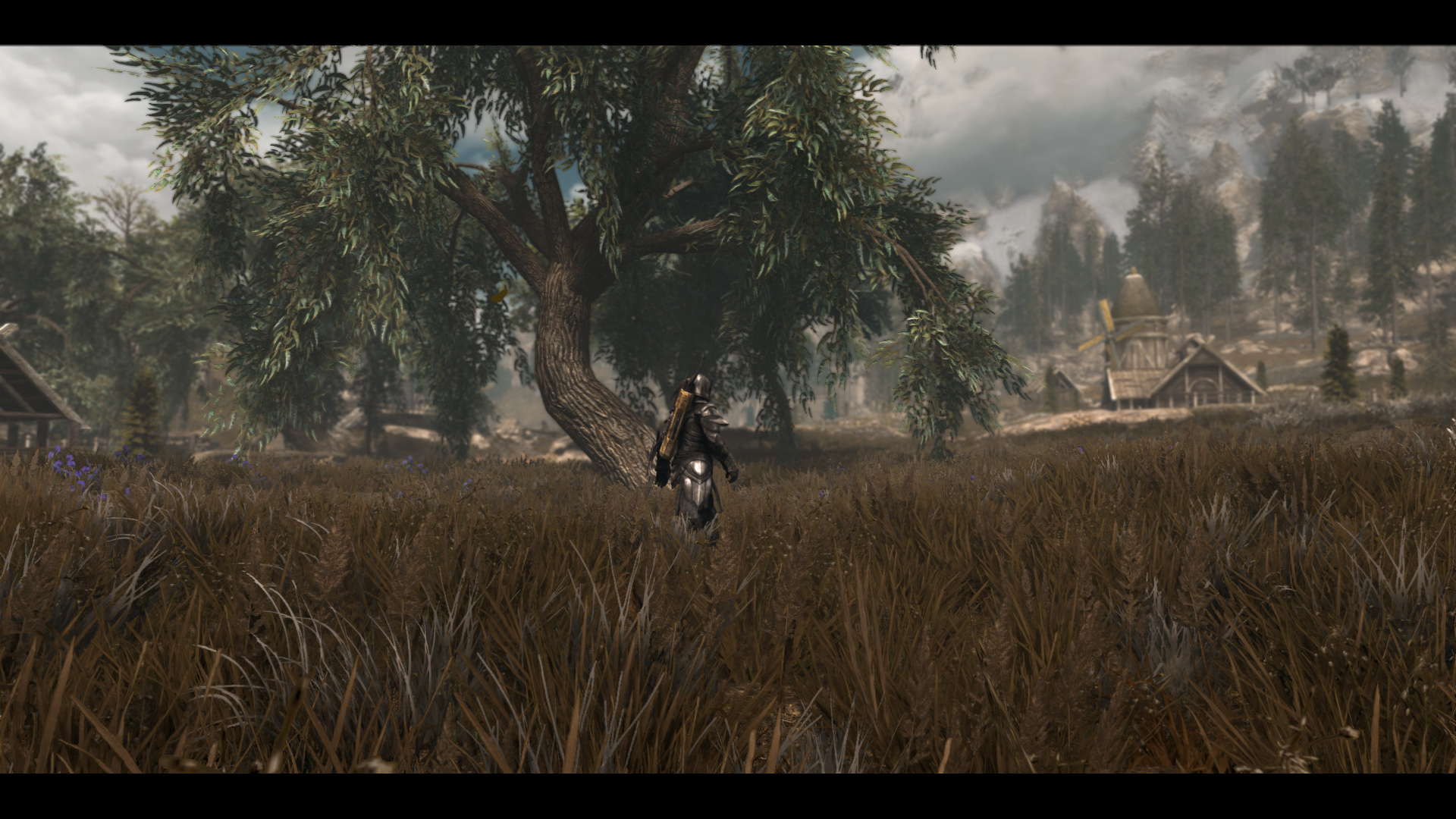 The Elder Scrolls V  Skyrim Special Edition Screenshot 2019.06.14 - 02.03.00.98.jpg