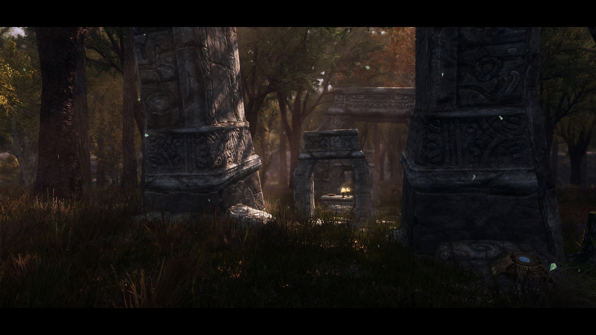 The Elder Scrolls V  Skyrim Special Edition Screenshot 2020.06.01 - 12.18.22.83.jpg