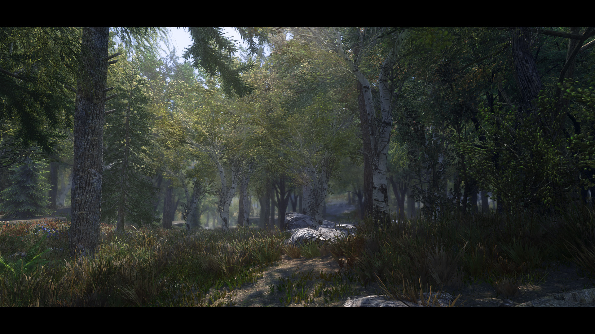 The Elder Scrolls V  Skyrim Special Edition Screenshot 2020.06.01 - 12.20.58.12.jpg