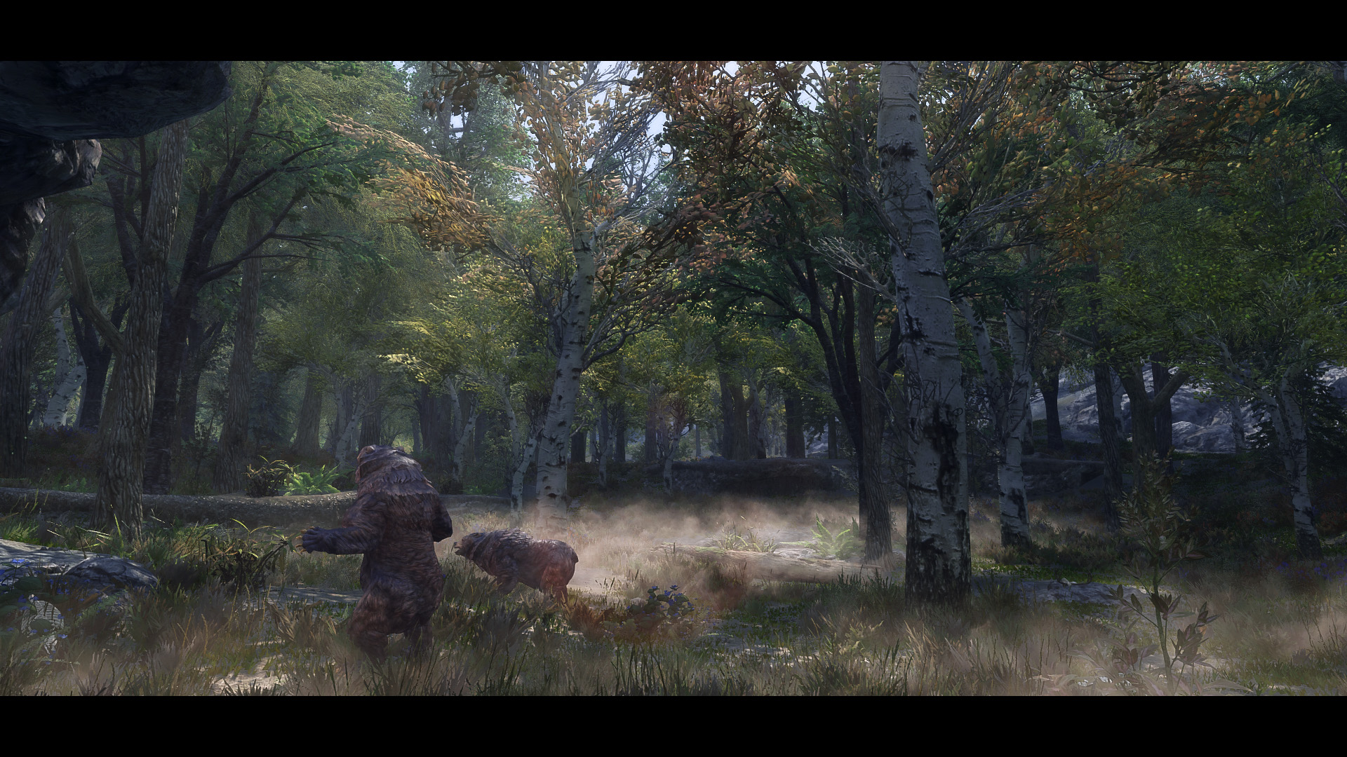 The Elder Scrolls V  Skyrim Special Edition Screenshot 2020.06.01 - 12.23.05.55.jpg