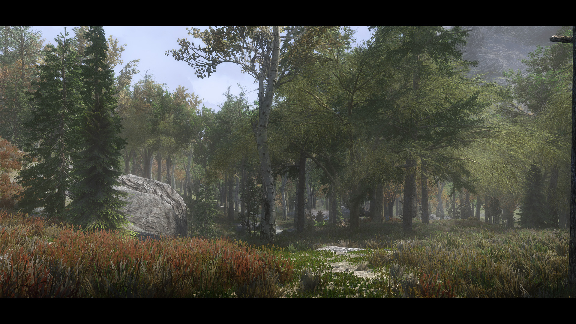 The Elder Scrolls V  Skyrim Special Edition Screenshot 2020.06.01 - 12.25.58.80.jpg