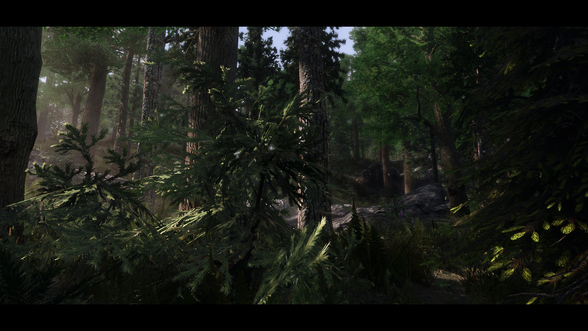 The Elder Scrolls V  Skyrim Special Edition Screenshot 2020.06.12 - 19.36.19.01.jpg