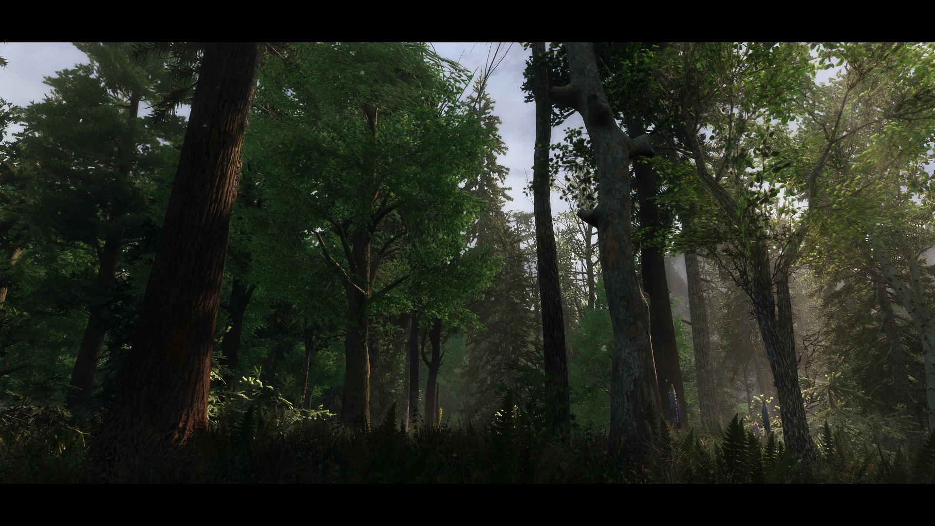 The Elder Scrolls V  Skyrim Special Edition Screenshot 2020.06.12 - 19.38.11.76.jpg