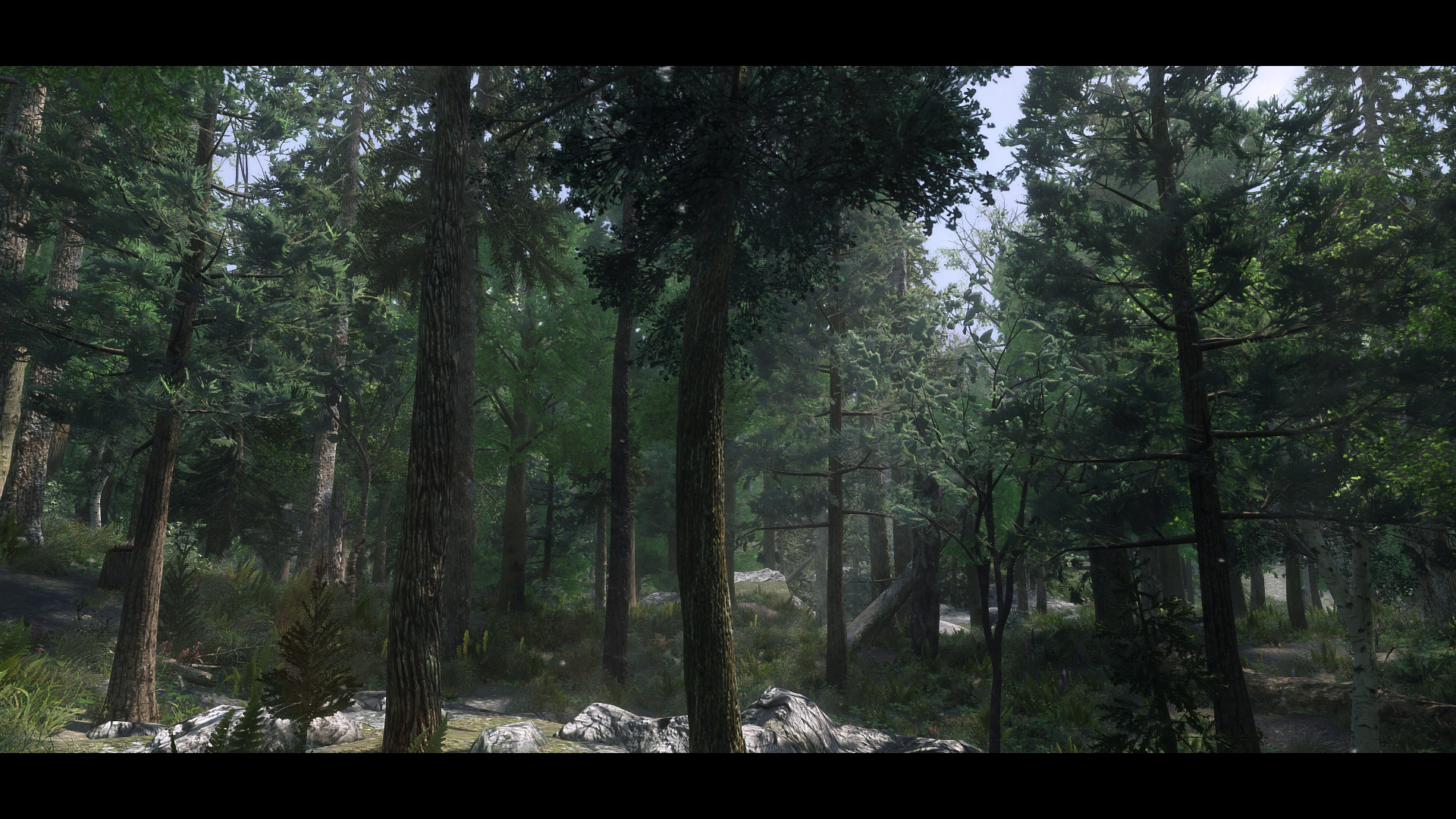 The Elder Scrolls V  Skyrim Special Edition Screenshot 2020.06.12 - 19.38.42.26.jpg