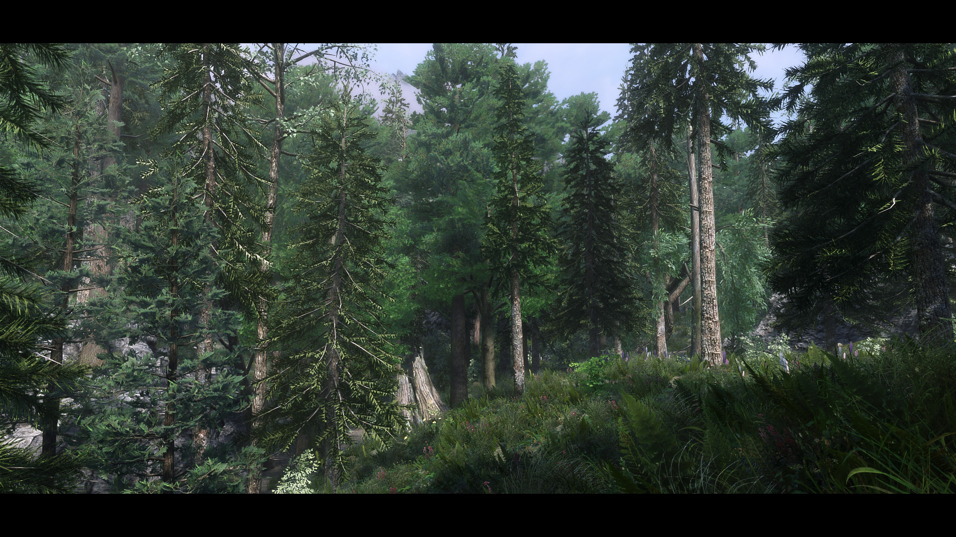 The Elder Scrolls V  Skyrim Special Edition Screenshot 2020.06.12 - 19.39.29.05.jpg