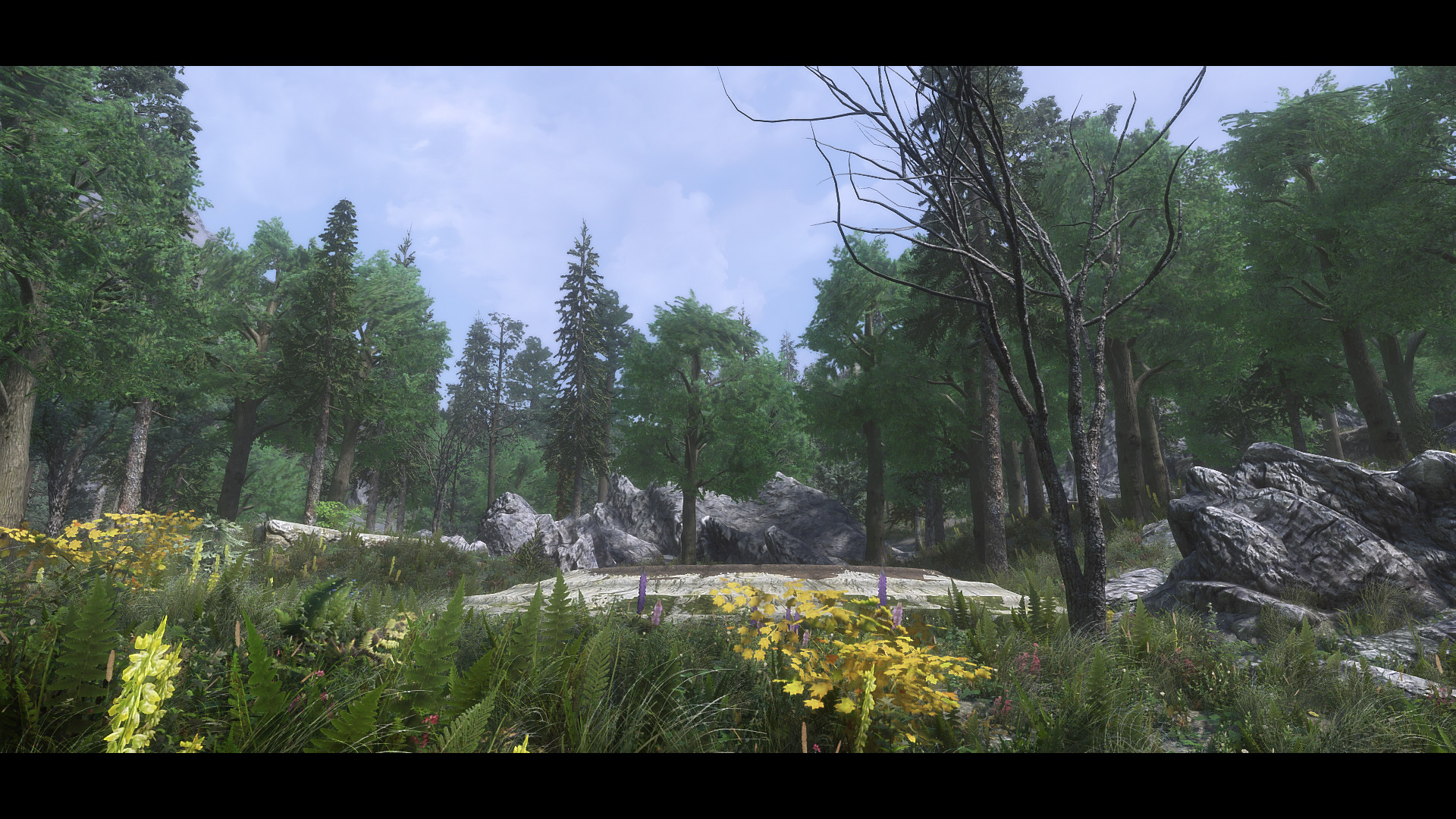 The Elder Scrolls V  Skyrim Special Edition Screenshot 2020.06.12 - 19.40.54.85.jpg