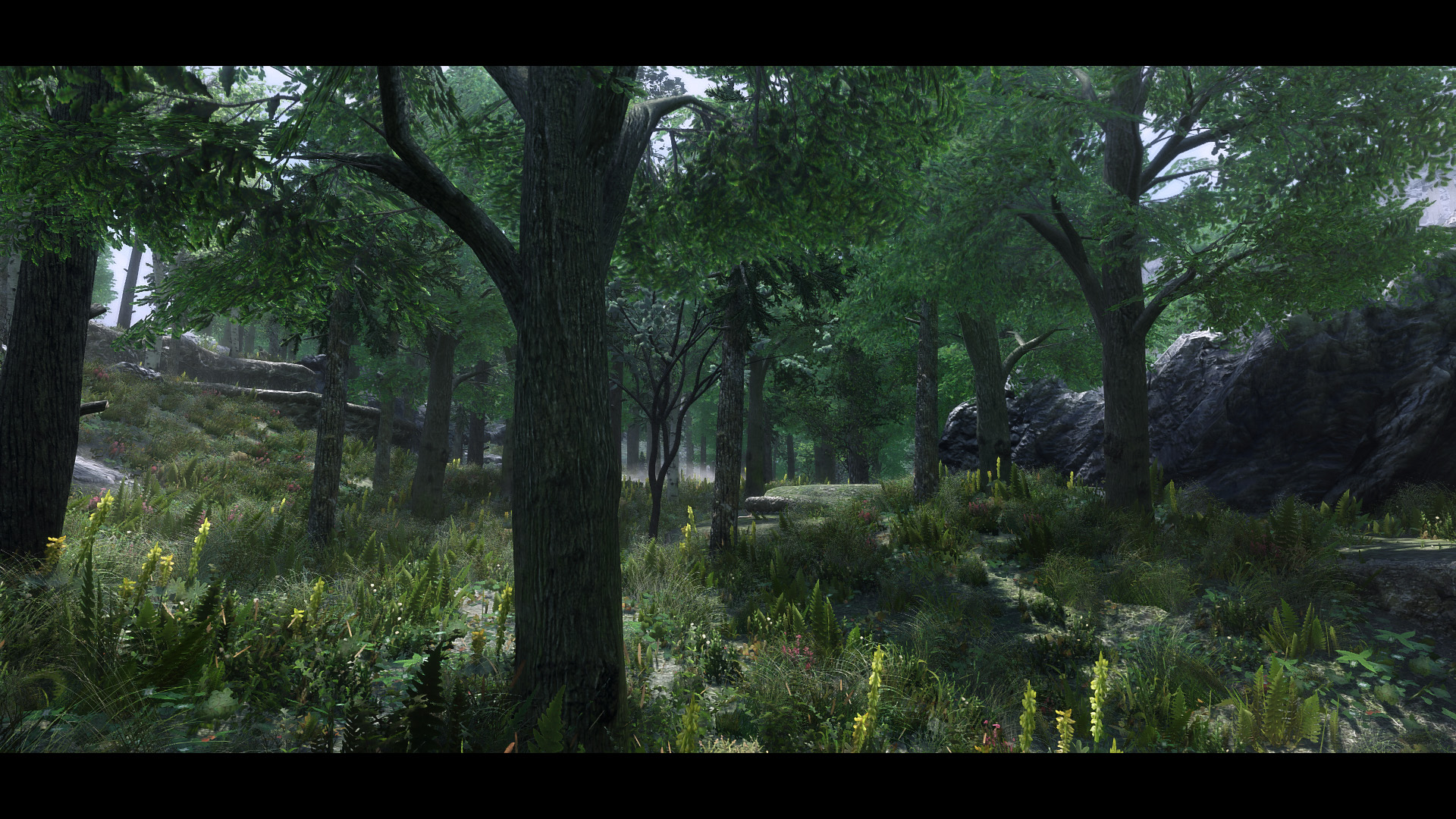 The Elder Scrolls V  Skyrim Special Edition Screenshot 2020.06.12 - 19.41.40.57.jpg