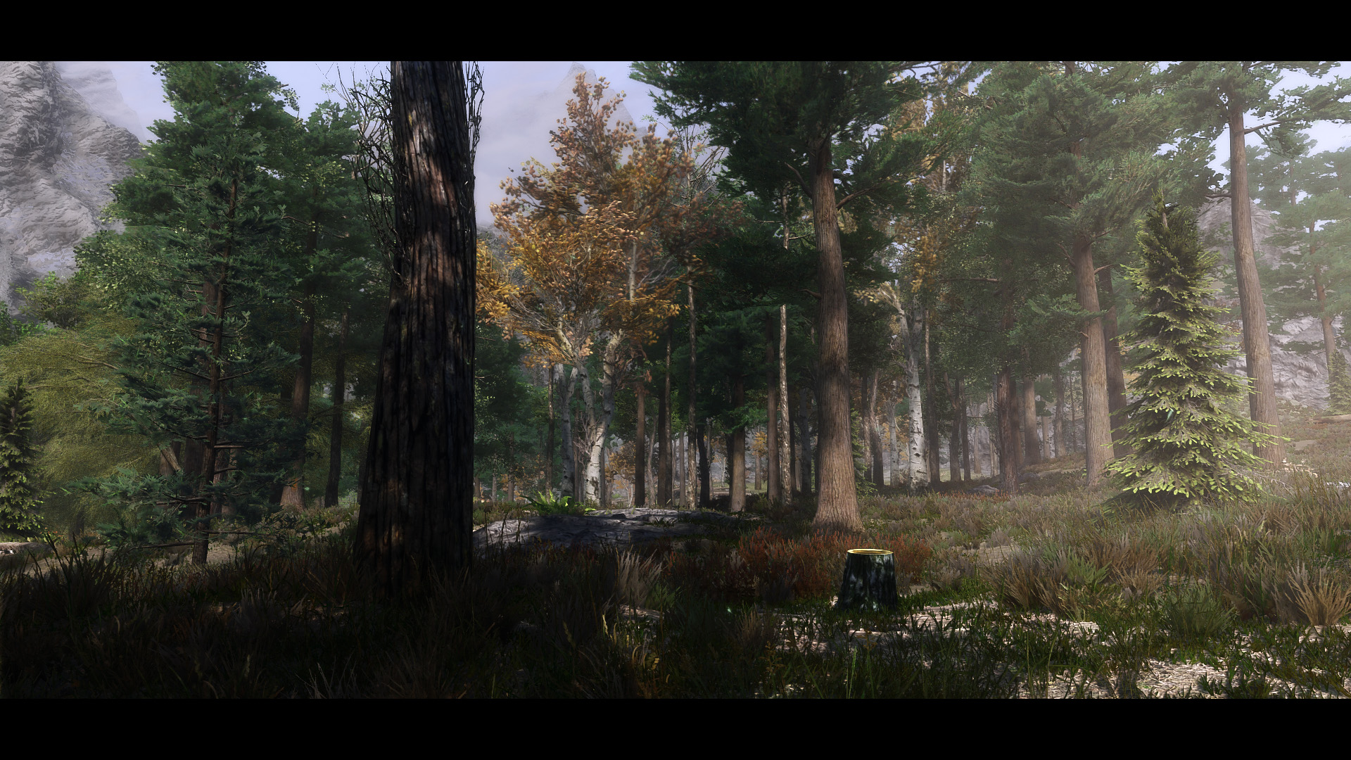 The Elder Scrolls V  Skyrim Special Edition Screenshot 2020.06.12 - 19.43.56.06.jpg