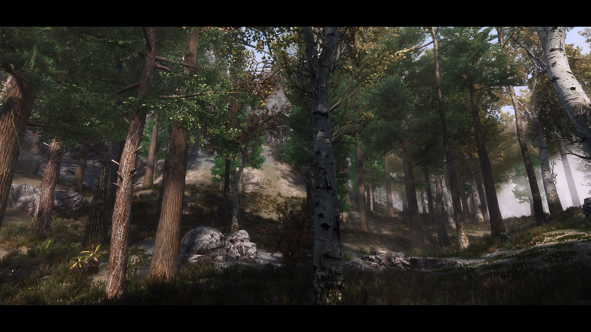 The Elder Scrolls V  Skyrim Special Edition Screenshot 2020.06.12 - 19.45.22.54.jpg