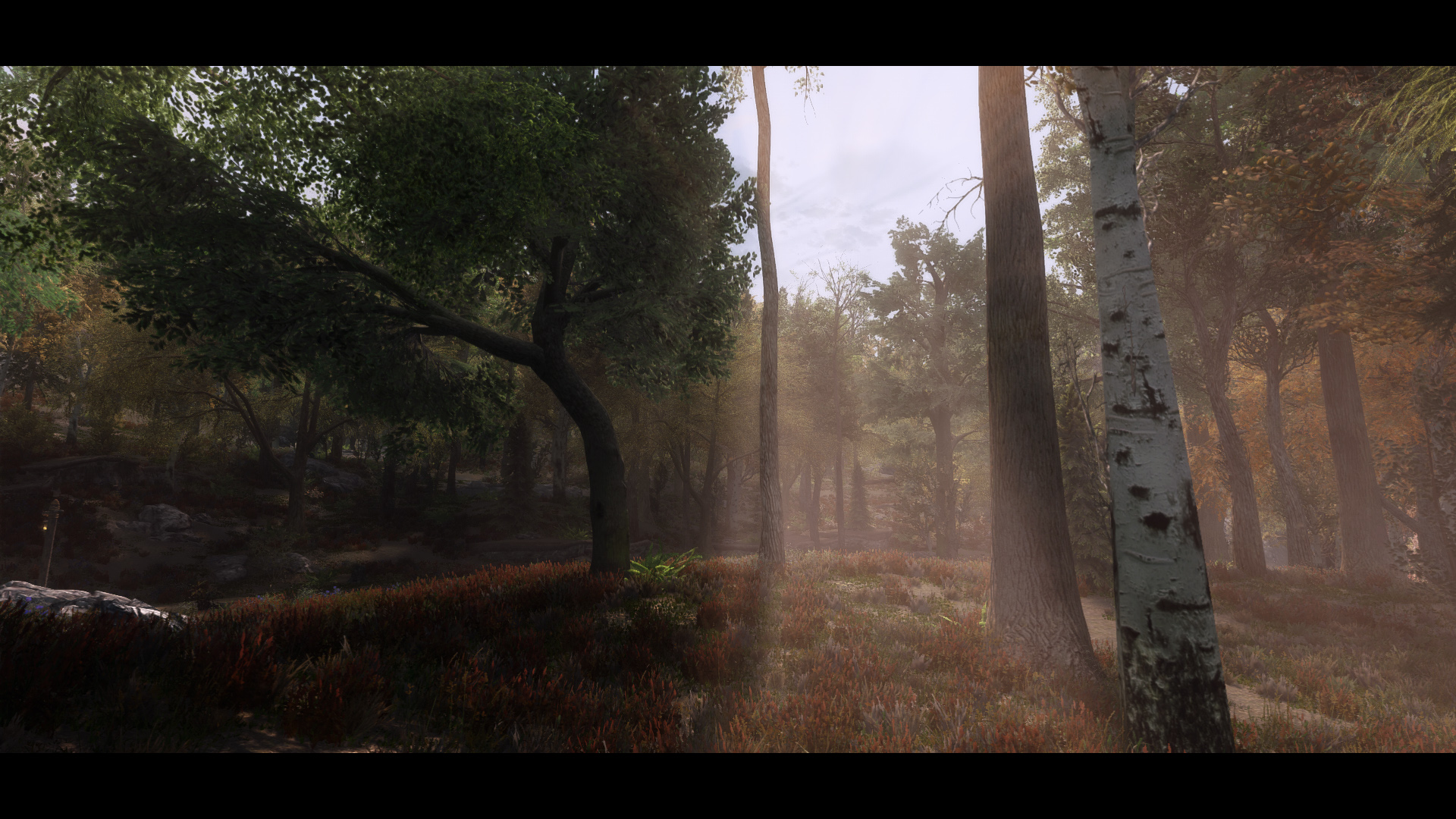 The Elder Scrolls V  Skyrim Special Edition Screenshot 2020.06.18 - 10.06.30.79.jpg