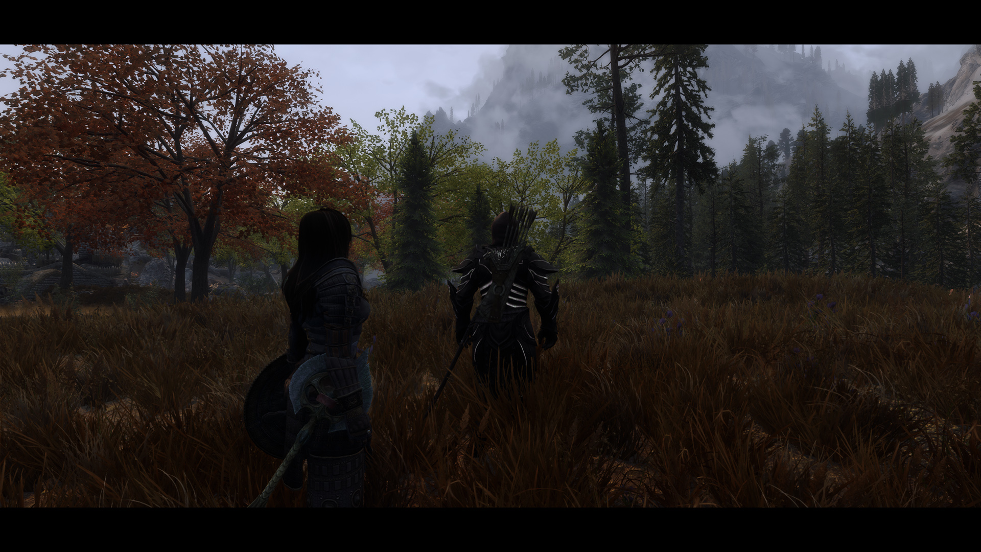 The Elder Scrolls V  Skyrim Special Edition Screenshot 2020.11.01 - 10.06.18.55.jpg