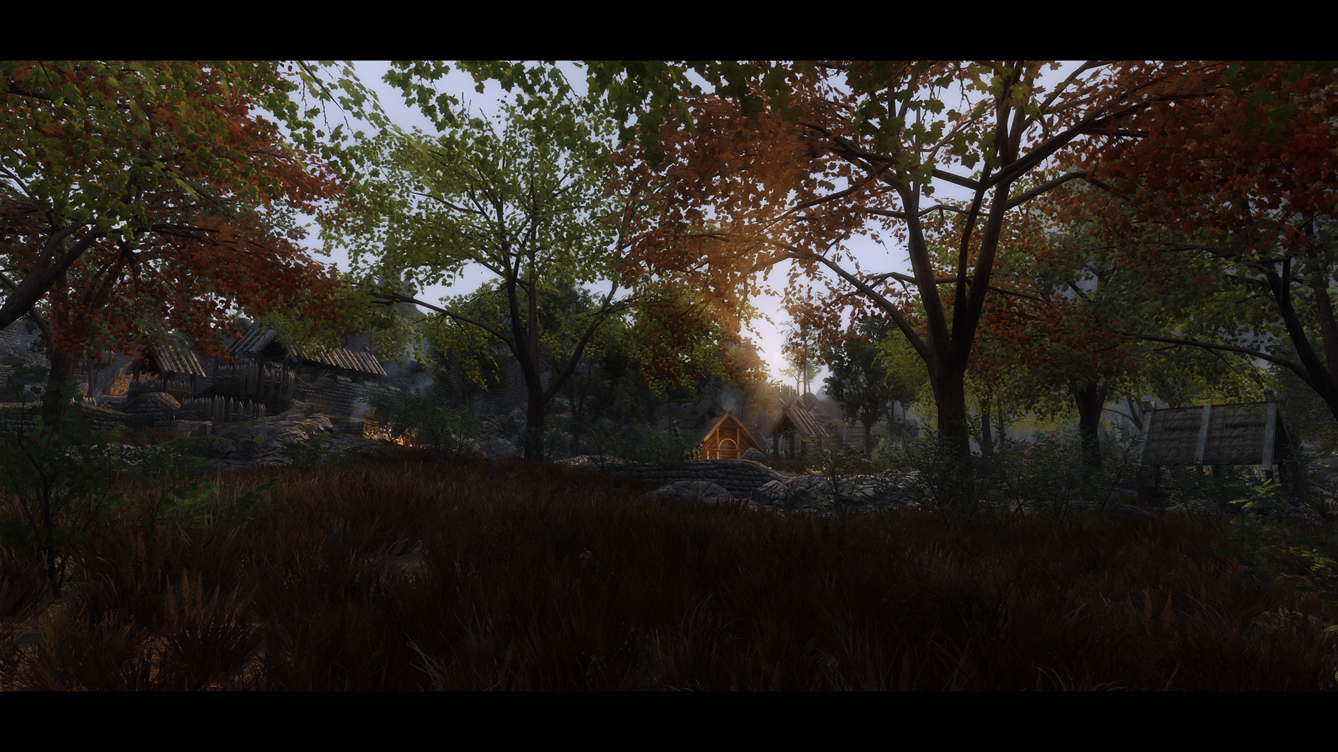 The Elder Scrolls V  Skyrim Special Edition Screenshot 2020.11.01 - 10.06.50.09.jpg