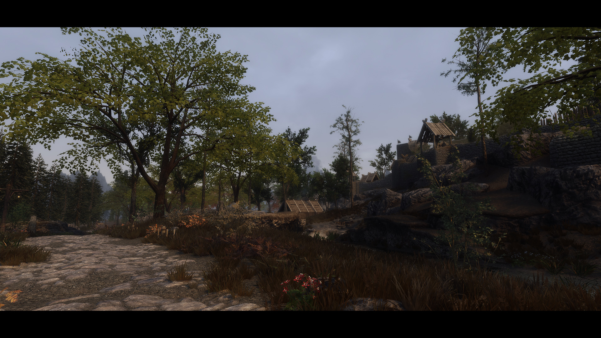 The Elder Scrolls V  Skyrim Special Edition Screenshot 2020.11.01 - 10.08.17.64.jpg