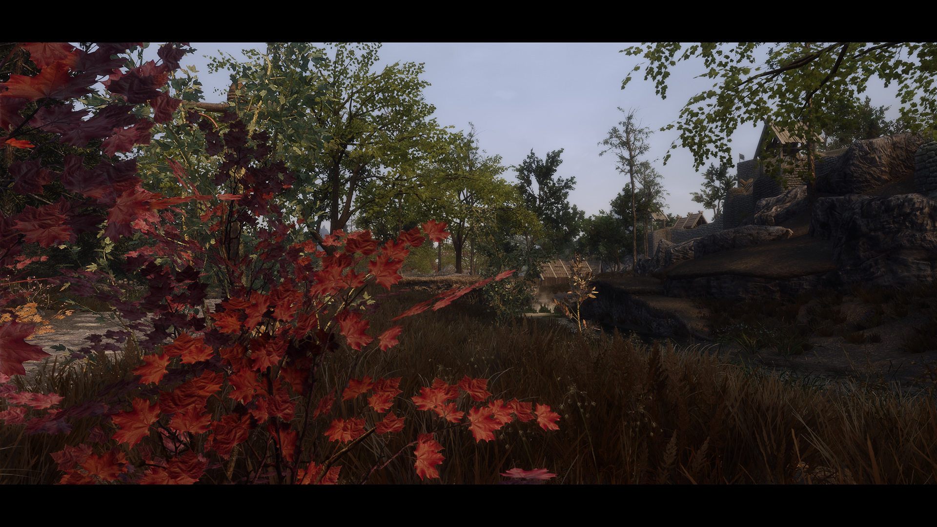 The Elder Scrolls V  Skyrim Special Edition Screenshot 2020.11.01 - 10.08.44.20.jpg