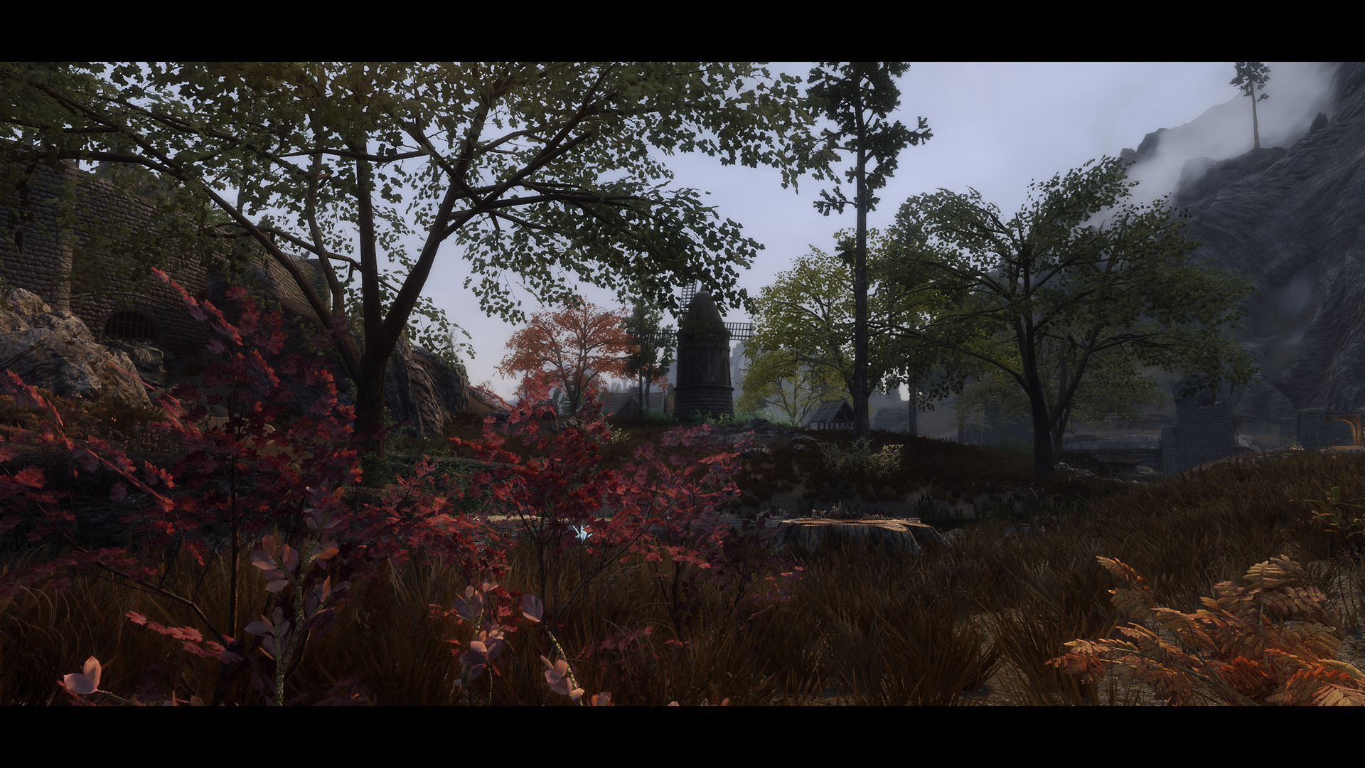 The Elder Scrolls V  Skyrim Special Edition Screenshot 2020.11.01 - 10.08.58.76.jpg