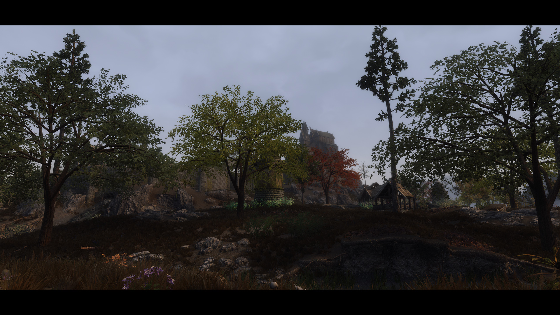 The Elder Scrolls V  Skyrim Special Edition Screenshot 2020.11.01 - 10.09.45.55.jpg