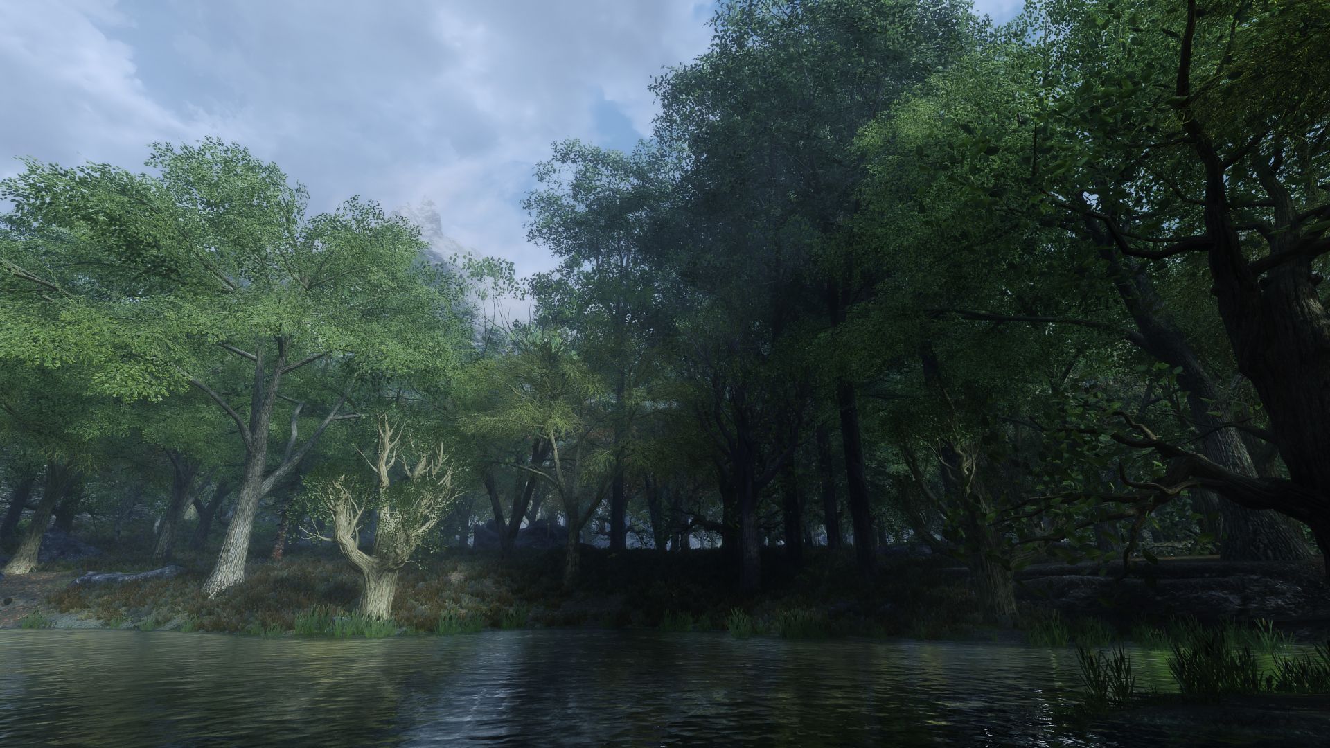 The Elder Scrolls V  Skyrim Special Edition Screenshot 2021.05.15 - 00.57.00.71.jpg