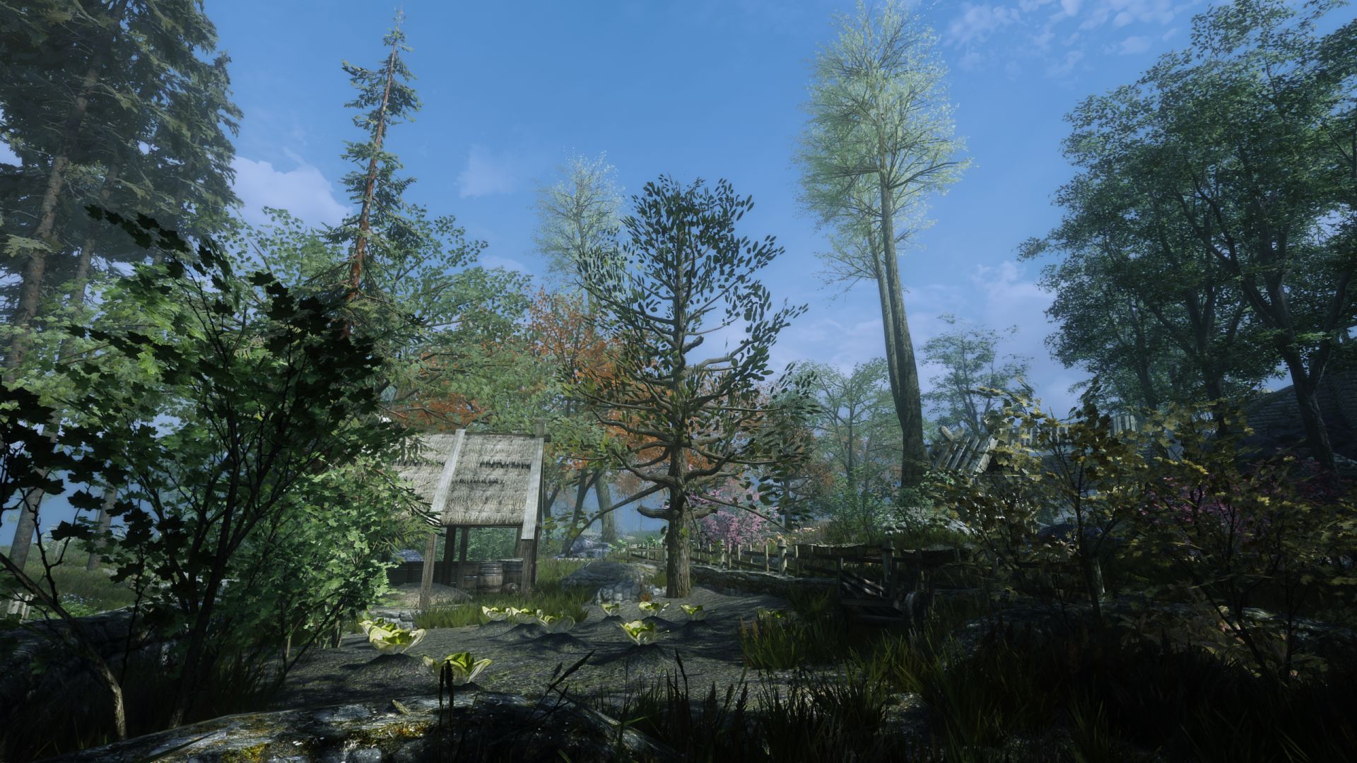 The Elder Scrolls V  Skyrim Special Edition Screenshot 2021.05.16 - 17.01.32.53.jpg