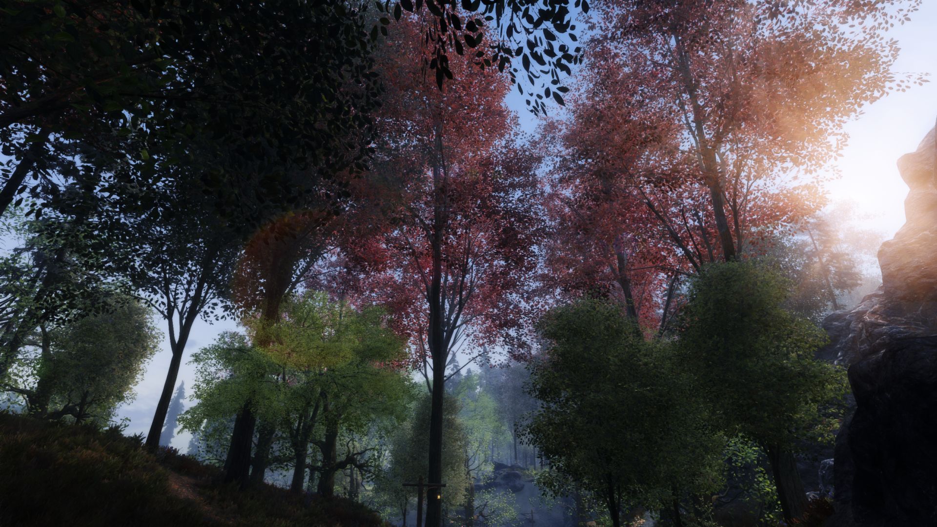 The Elder Scrolls V  Skyrim Special Edition Screenshot 2021.05.21 - 19.46.14.22.jpg