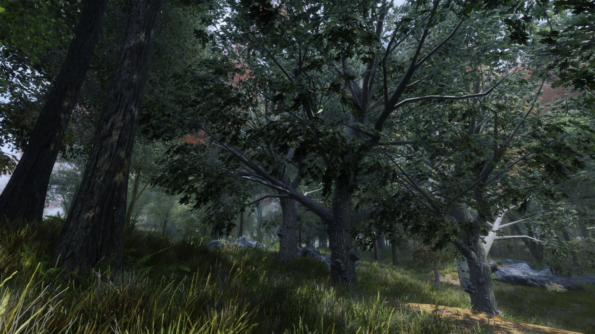 The Elder Scrolls V  Skyrim Special Edition Screenshot 2021.05.22 - 19.49.14.68.jpg