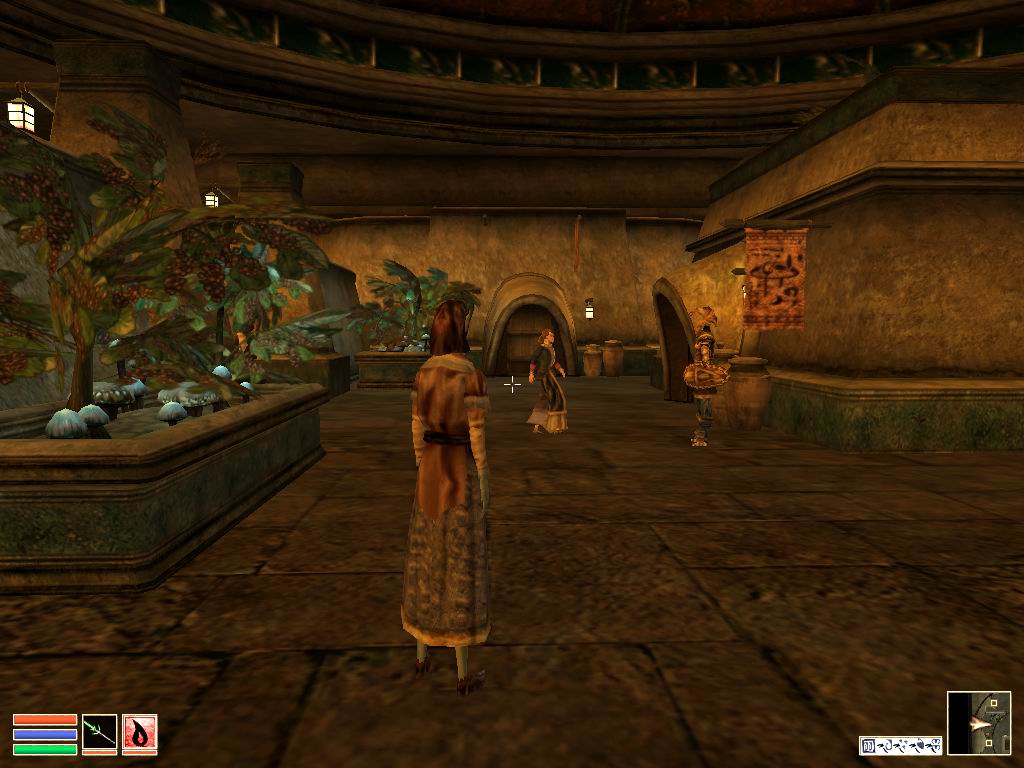 Vivec 3a  - Hlaalu-Platz.jpg