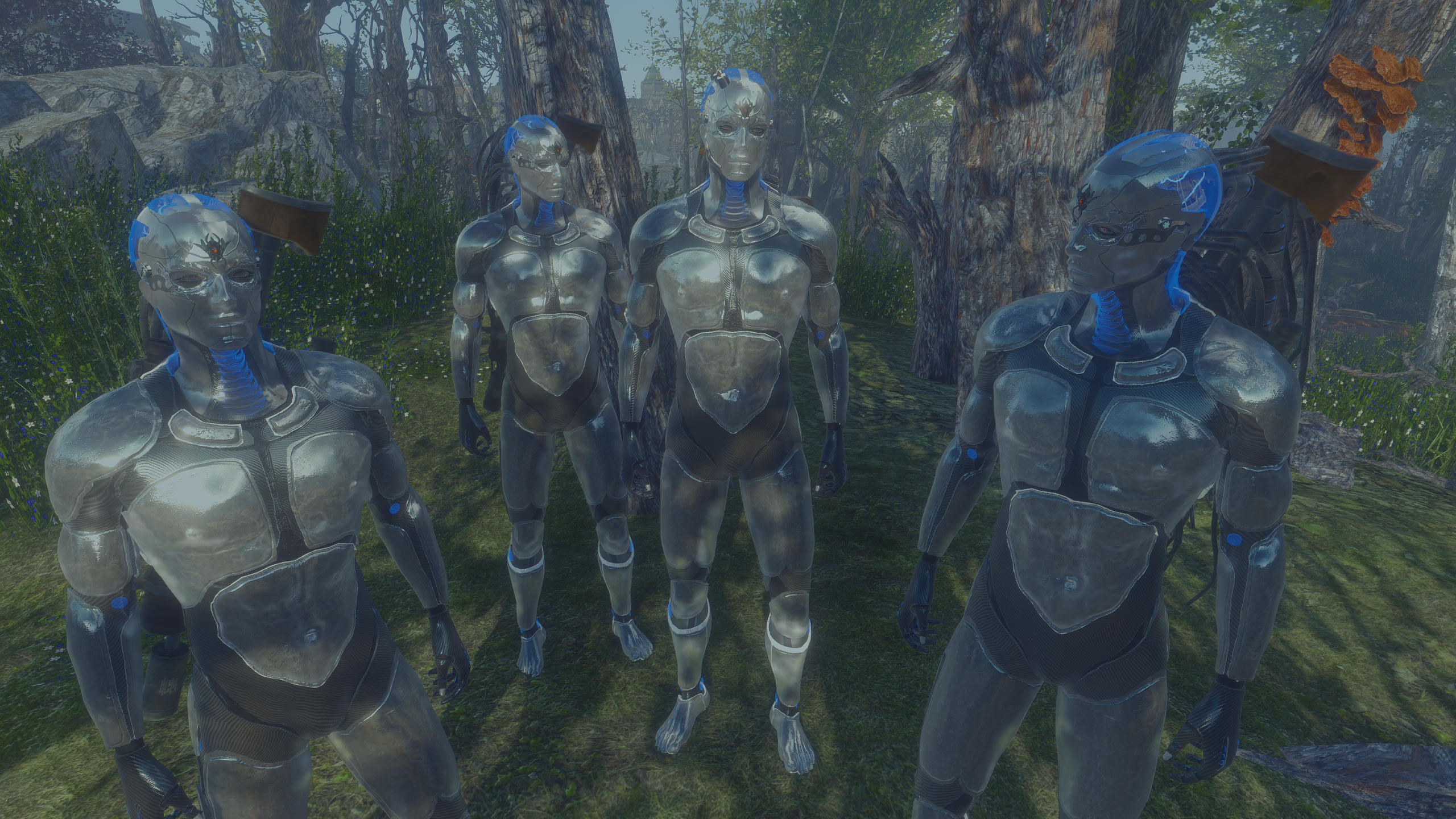 Who is the real one.jpg