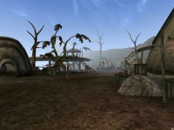 PIC 13.jpg PIC 13.jpg