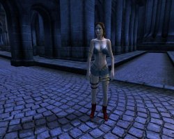 Dame aus Cyrodiil.jpg Dame aus Cyrodiil.jpg