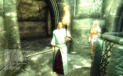 Oblivion 2009-05-20 17-16-49-62.jpg