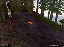 MGE Screenshot 61.jpg MGE Screenshot 61.jpg