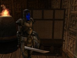 TPAD-Vorschau 1.jpg TPAD-Vorschau 1.jpg