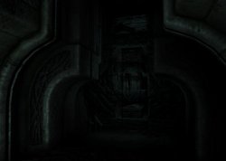 MaraScreen03.jpg MaraScreen03.jpg