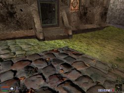 Texture Fehler vor Plugin L'étoffe des guerrières v1.jpg