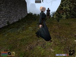 MGE Screenshot 1.jpg