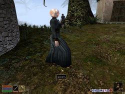 MGE Screenshot 2.jpg