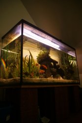 DSC01030.jpg DSC01030.jpg