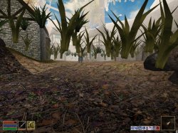 MGE Screenshot 4.jpg