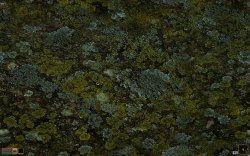 MGE Screenshot 1.jpg