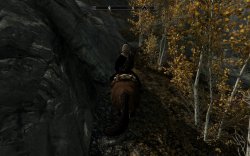 2011-11-12_00002.jpg 2011-11-12_00002.jpg